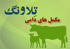 مکمل های دامی تلاونگ