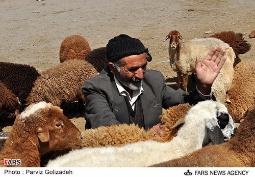 میدان دوّاب/ گزارش تصویری