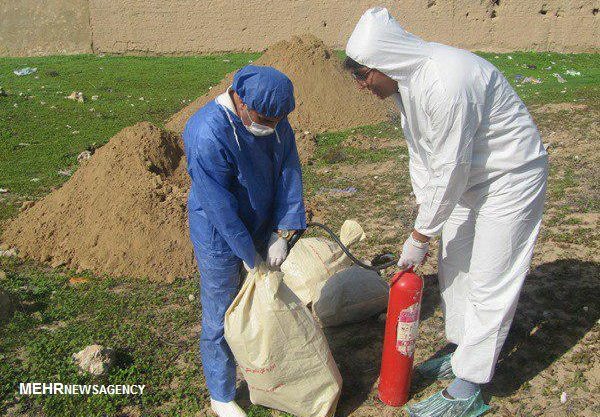 شناسایی دومین کانون آنفلوانزای فوق حاد پرندگان در یاسوج