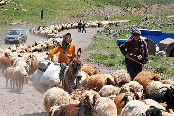 آغاز کوچ بهاره عشایر خراسان جنوبی/خشکسالی سبب تأخیر کوچ عشایر شد