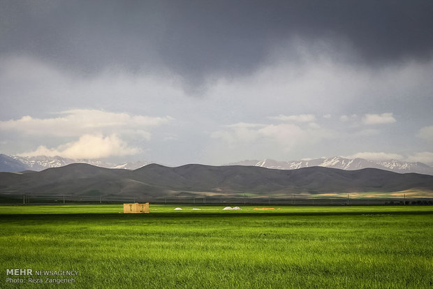 آمادگی ایران برای همکاری با غنا در زمینه تحقیقات و ترویج کشاورزی